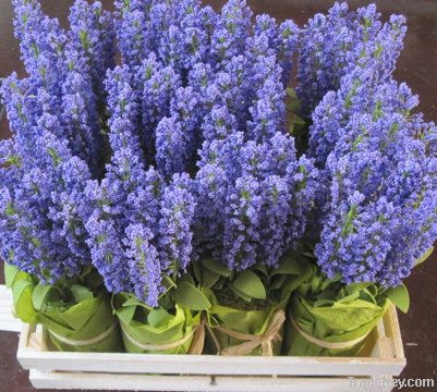 Lavender paper flower