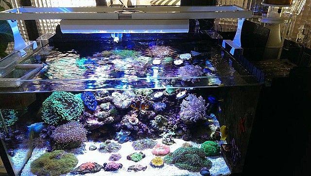 BLOCK Smart LED Aquarium lighting