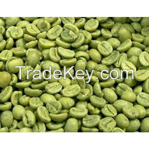 Green Arabica Coffe Beans