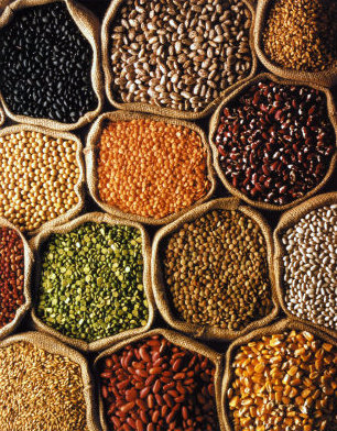 GRAINS & PULSES