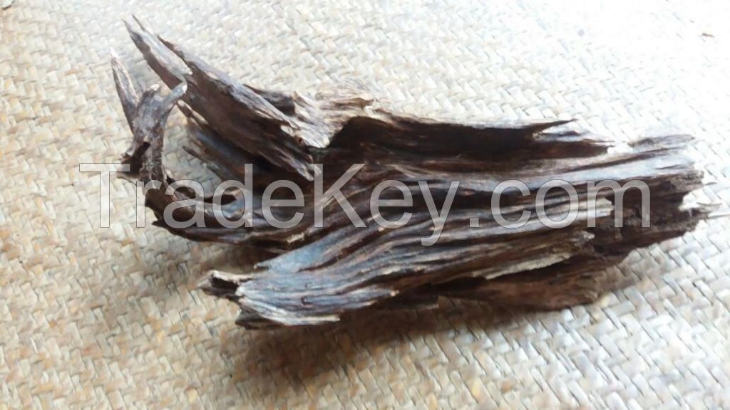 Agarwood Chips and oil