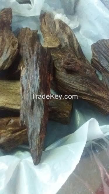 Agarwood Chips and oil