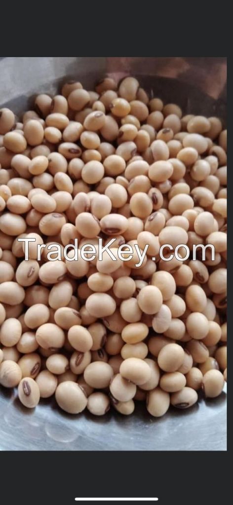 Soya beans, soybeans 