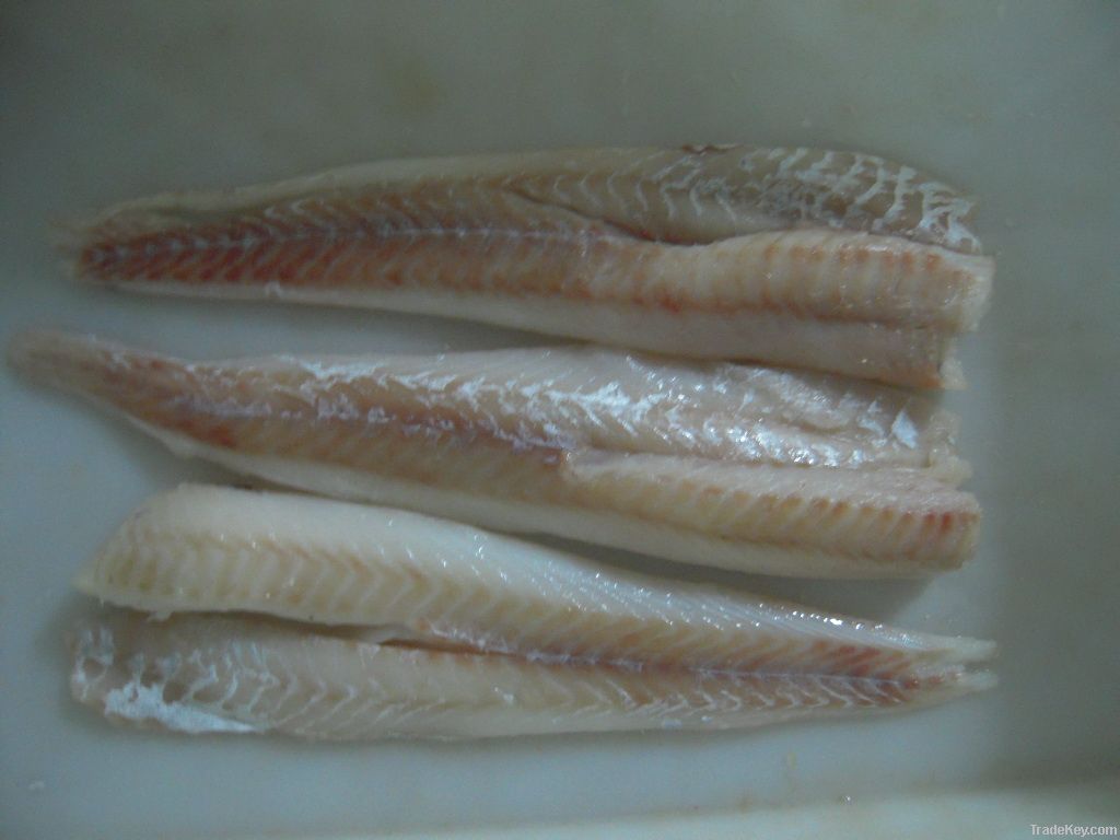 Alaska pollock fillets (Theragra chalcogramma)