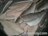 Frozen Sea bass fillet skin-on (Latin name:Lateolabrax japonicus)