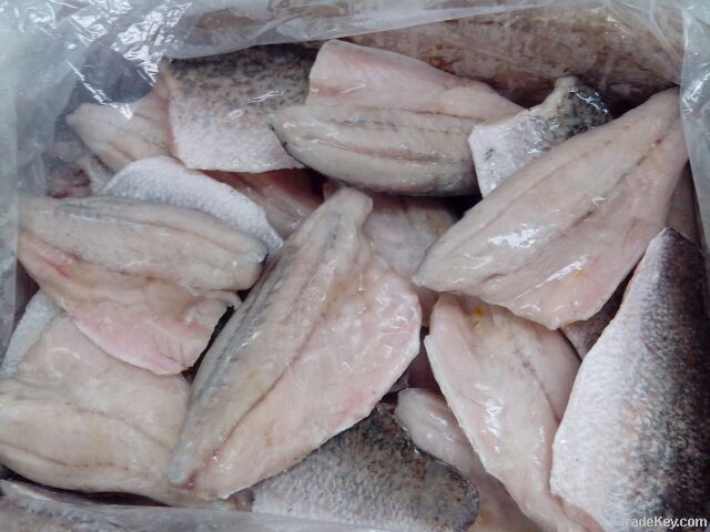 Frozen Barramundi fillet IQF (Latin name:Lates Calcarifer)