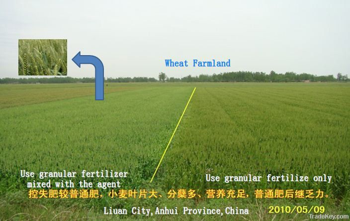 Fertilizer Nutrient Loss-control Agent