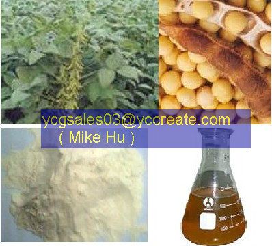 Soybean Extract;Soybean P.E.