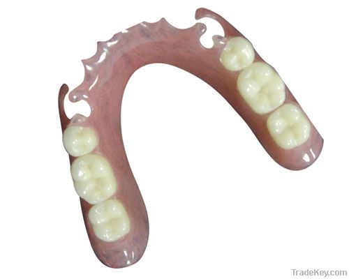 Dental Full/Partial Valplast Denture