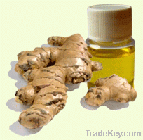 Refined ginger oil