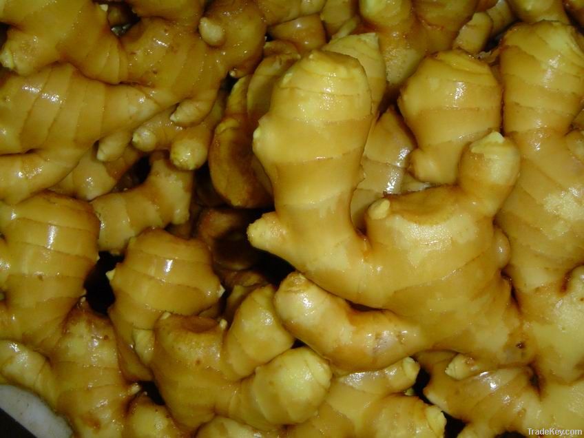 Chinese fresh ginger