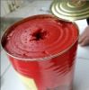 Caned Tomato Paste For Nice Flavouring