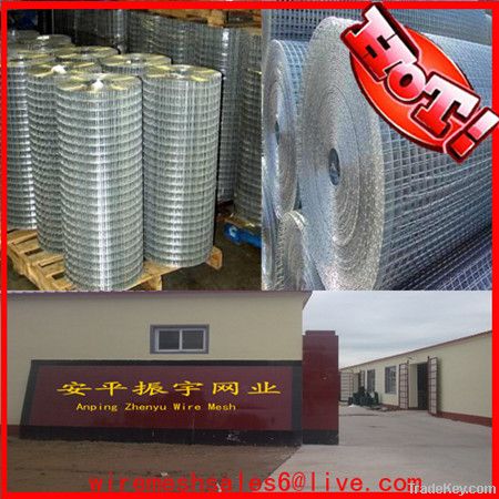 Cheap Welded Wire Mesh(Good Quality)