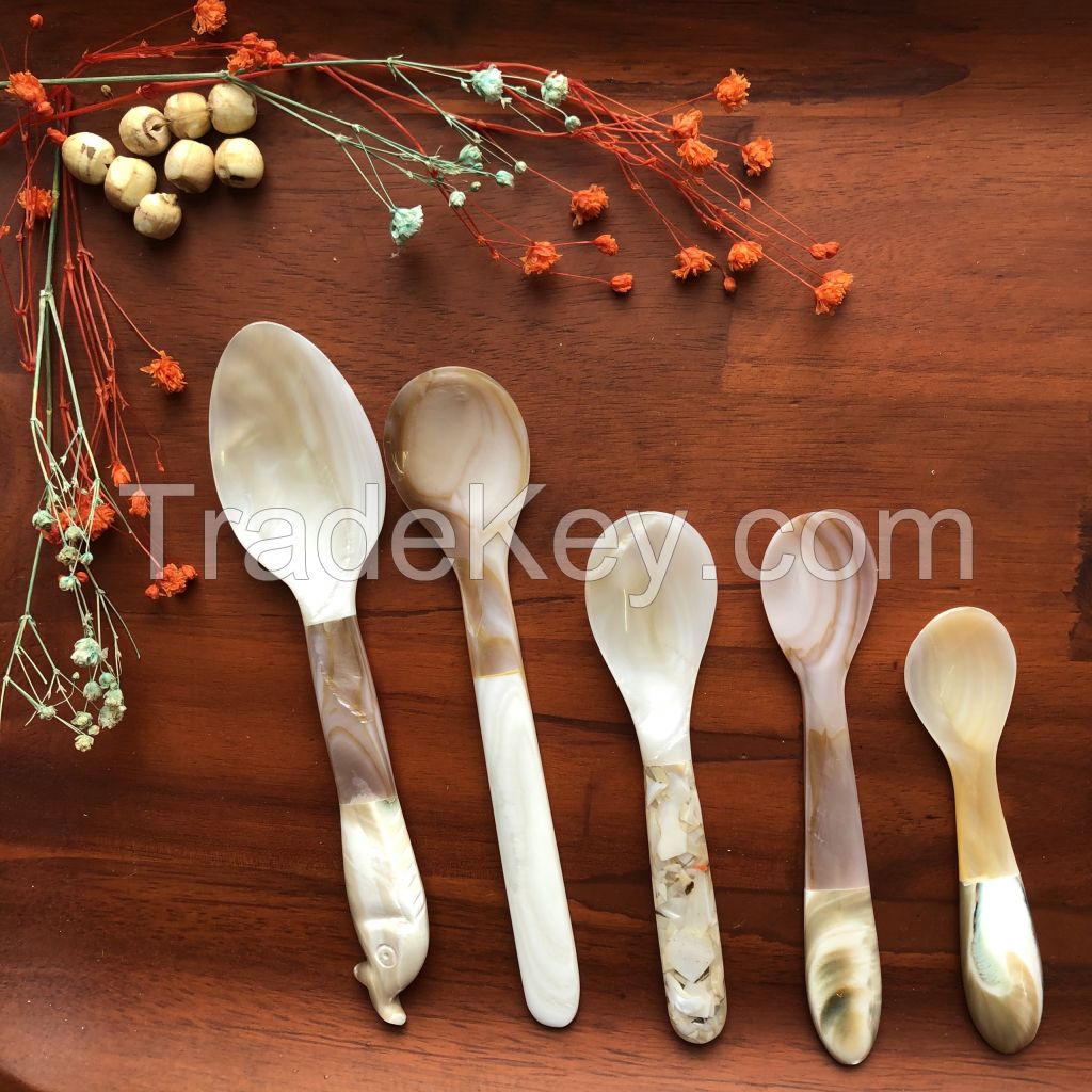 Seashell spoon Shell Spoon Mother of Pearl Natural Caviar Spoon Natural Small Spoon
