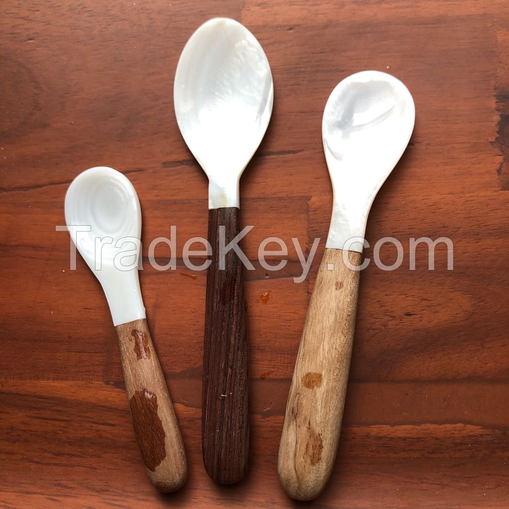Seashell spoon Shell Spoon Mother of Pearl Natural Caviar Spoon Natural Small Spoon