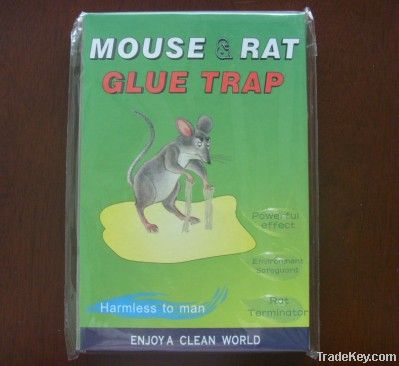 mouse glue trap, rat glue carboards