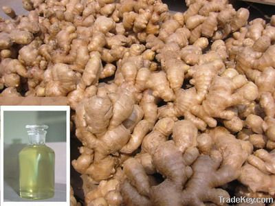 Ginger Oil