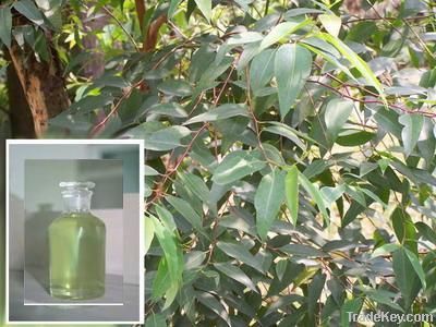 Eucalyptus oil