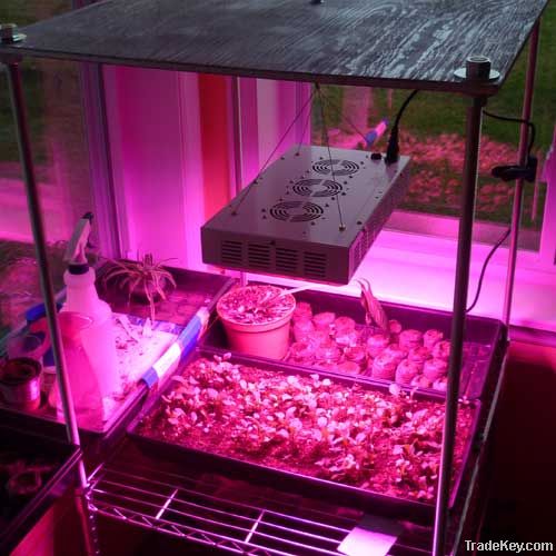 300w led grow light for sale new zealand