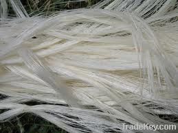 GYPSUM SISAL FIBRE FOR SALE WITH BEST QUALITY