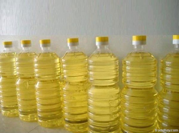 jatropha oil for biodiesel