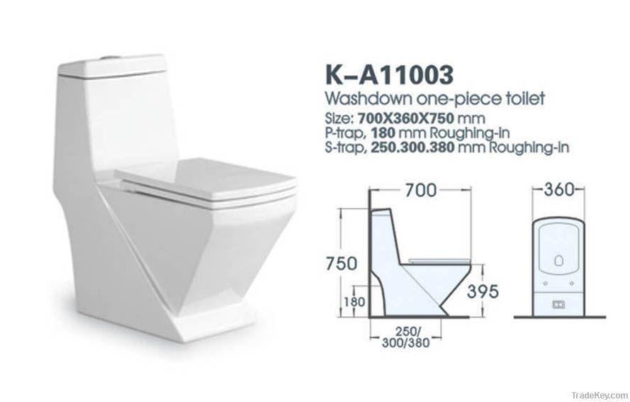 washdown one-piece toilet