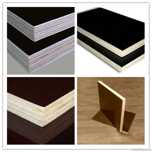 12mm shuttering plywood specifications