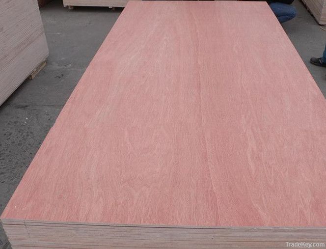 1220x2440mm cheap plywood from linyi plywood manufacturer
