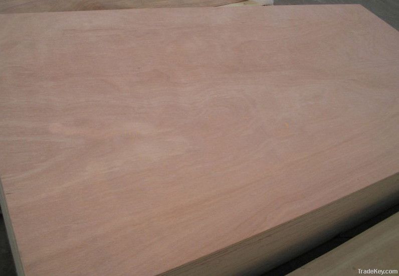 1220x2440mm cheap plywood from linyi plywood manufacturer