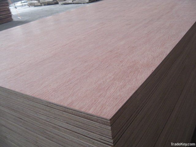1220x2440mm linyi commercial plywood
