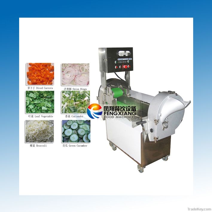 FC-301 Multifunction automatic vegetable cutting machine