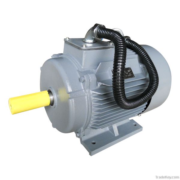 YX3 High Efficiency (IE2) Three Phase Induction Motor