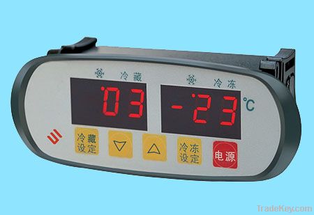 Temperature controller with double displays