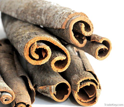 Cinnamon from North West Vietnam