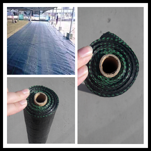 Made in China high quality agricultural greenhouse used ground cover fabric