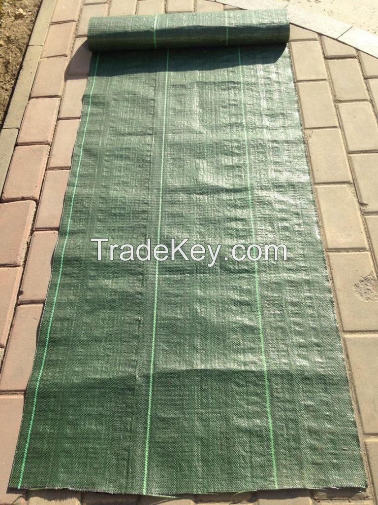 New product high quality ground cover fabric for garden made in China