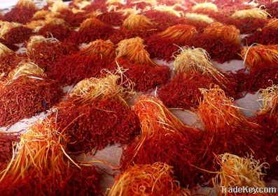 Sargol Saffron