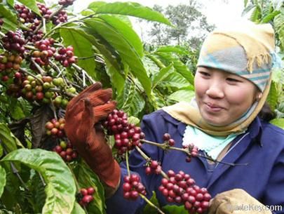 Coffee VIETNAM