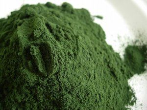 Spirulina