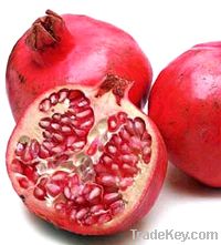 fresh pomegrante