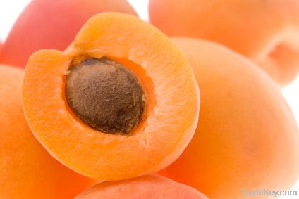 fresh apricote