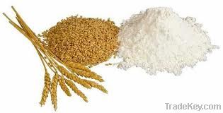 High Quality Wheat Flour, Buckwheat