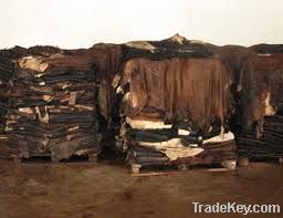 Wet Salted Cow Hides & Animal Skins