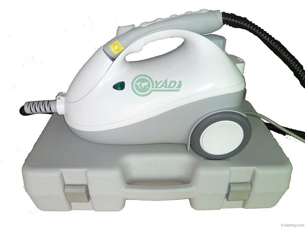 Steam cleaner