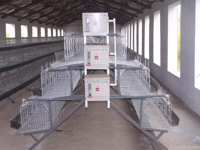 Chicken breeding cages/animal cages