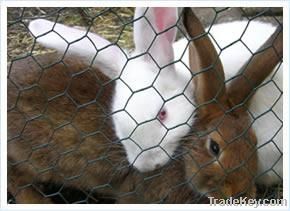 chicken mesh, poultry mesh, rabbit mesh