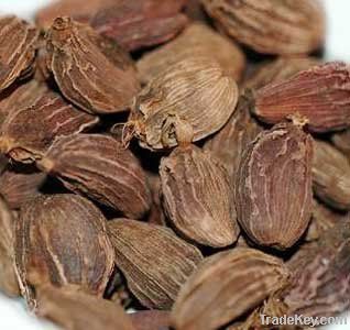 Black Cardamom