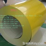 Color coated steel coils
