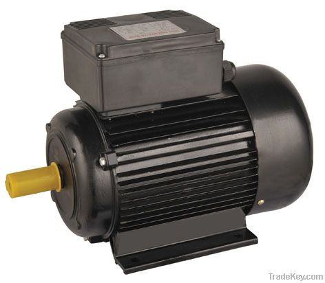 YL series single phase dual cpacitor induction motor