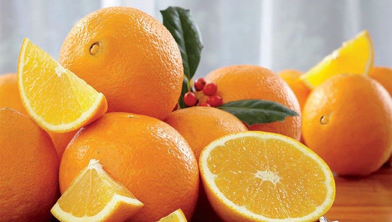 Oranges, Fresh Oranges, Navel Oranges